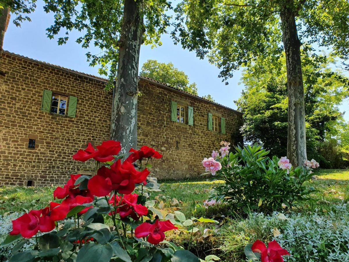 Chateau Labistoul Campes Kültér fotó