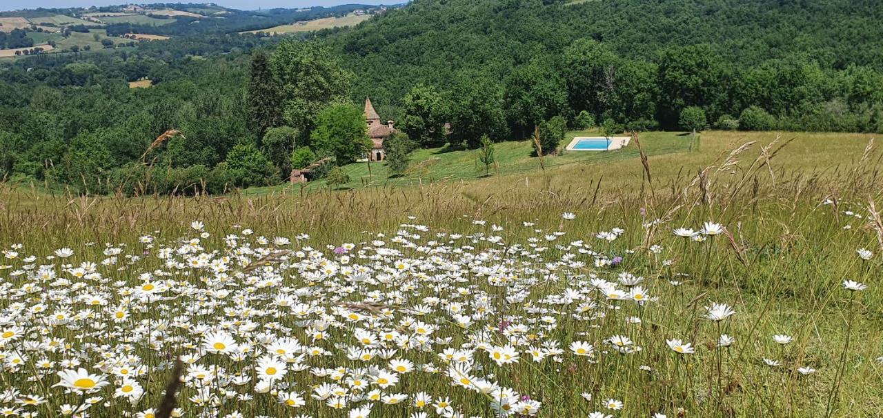 Chateau Labistoul Campes Kültér fotó