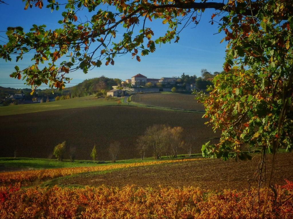 Chateau Labistoul Campes Kültér fotó