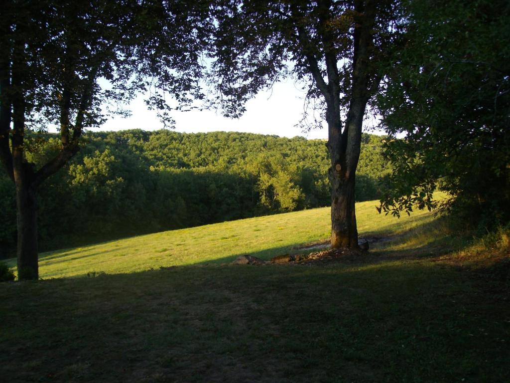 Chateau Labistoul Campes Szoba fotó