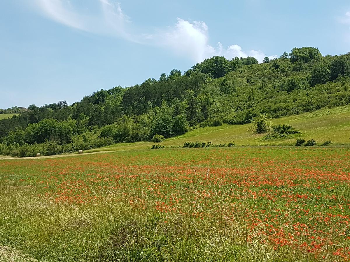 Chateau Labistoul Campes Kültér fotó